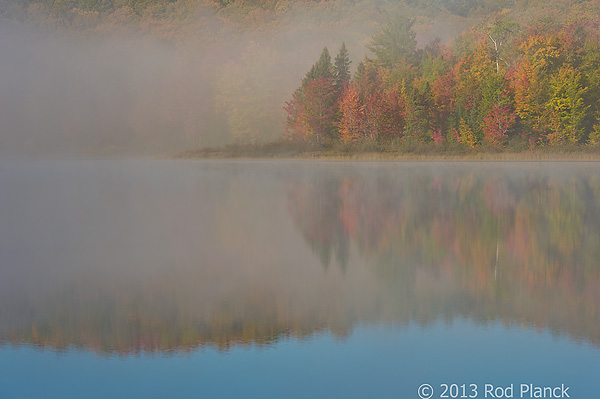 Autumn Forest, Foggy Bogs and Lake Superior Shoreline, Porcupine Mountains Wilderness State Park and Environs, Michigan